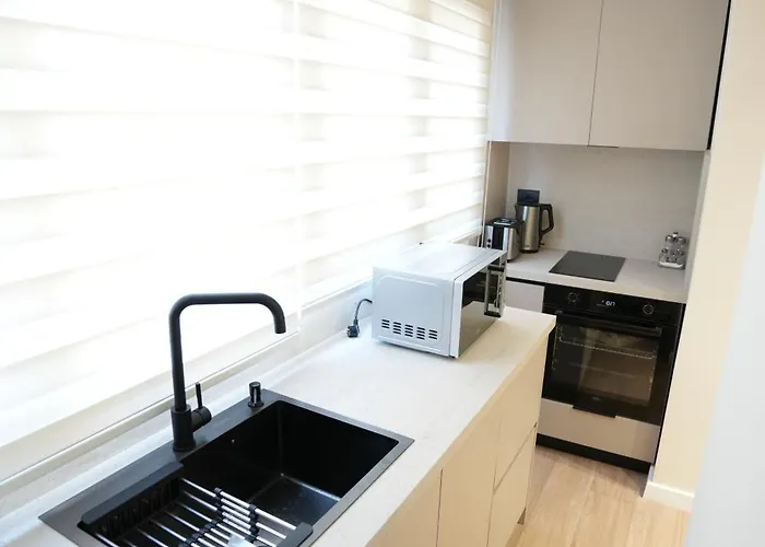 公寓 Huqi Luxury 2 地拉那